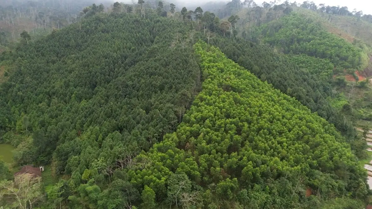 Gieo ‘sinh kế xanh’ nơi núi rừng biên cương