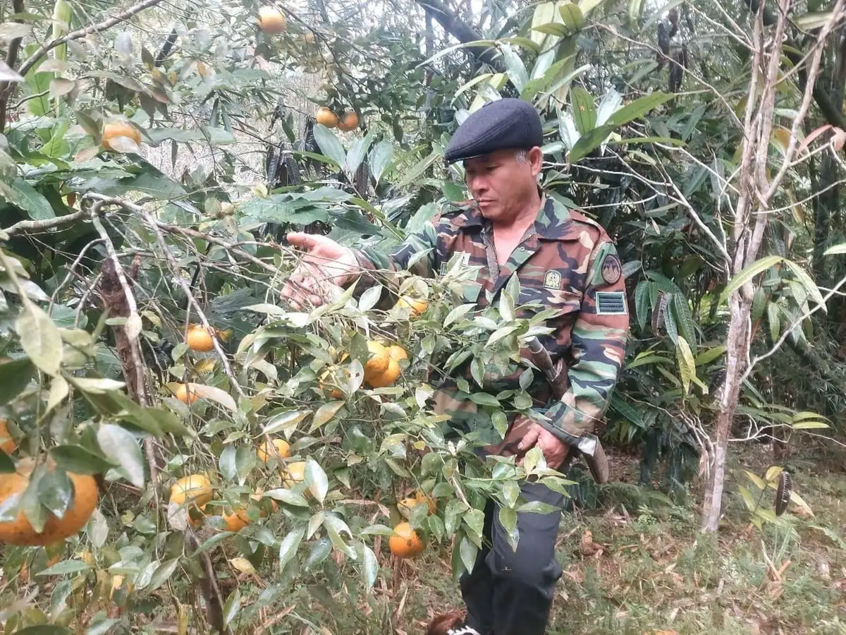 Gieo ‘sinh kế xanh’ nơi núi rừng biên cương