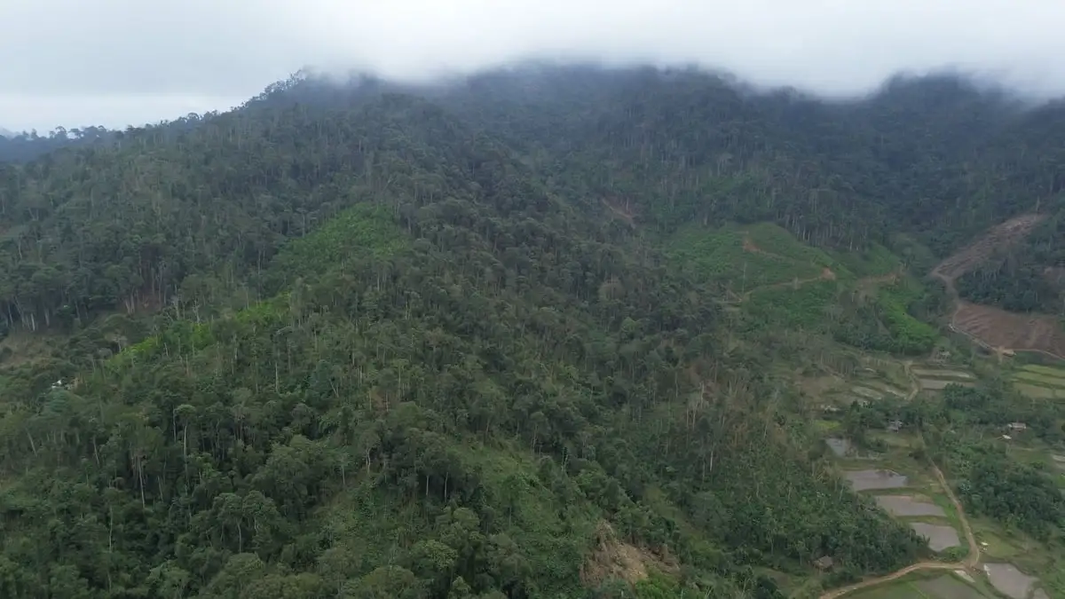 Gieo ‘sinh kế xanh’ nơi núi rừng biên cương