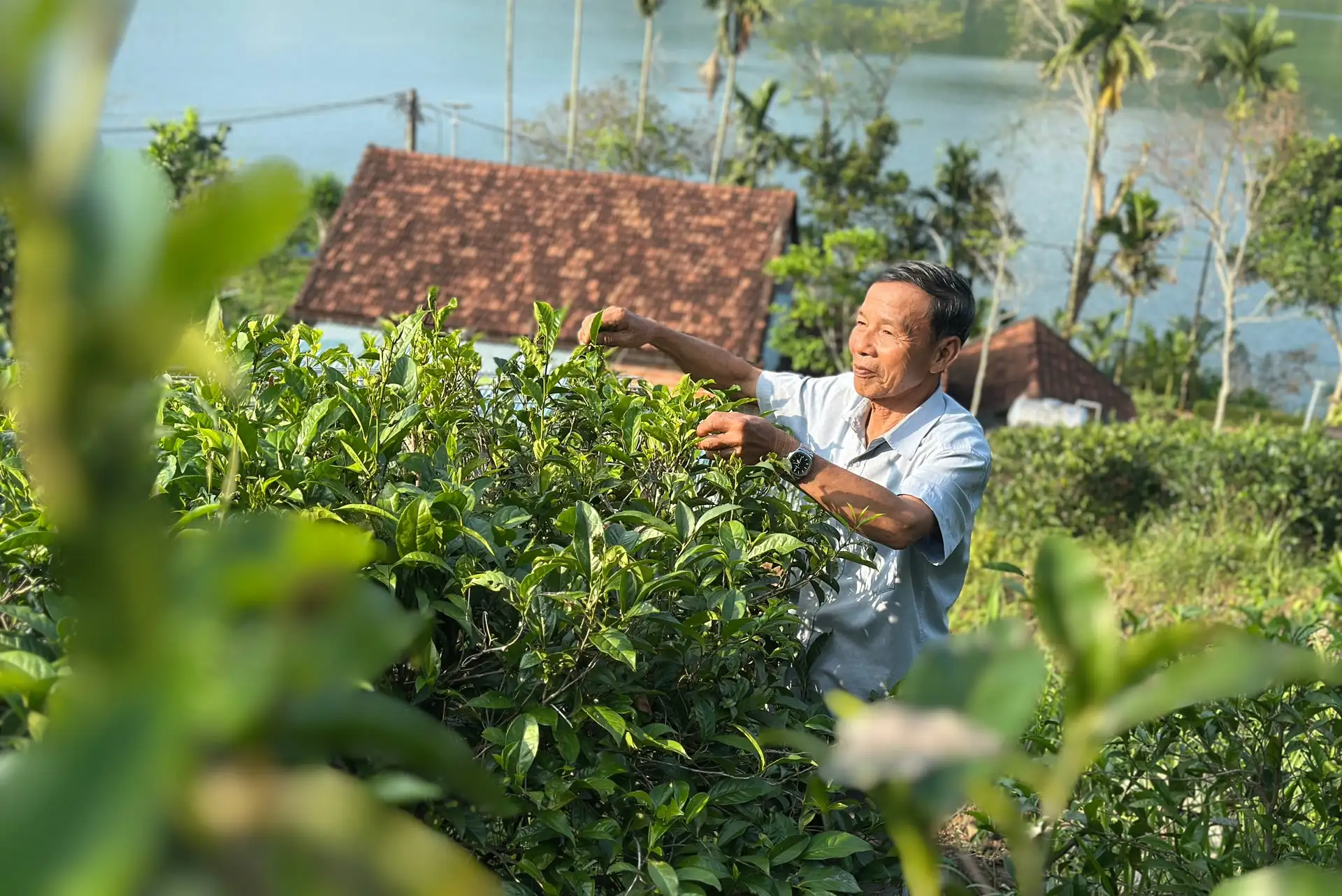 Giữ nghề truyền thống trong cuộc cạnh tranh mới