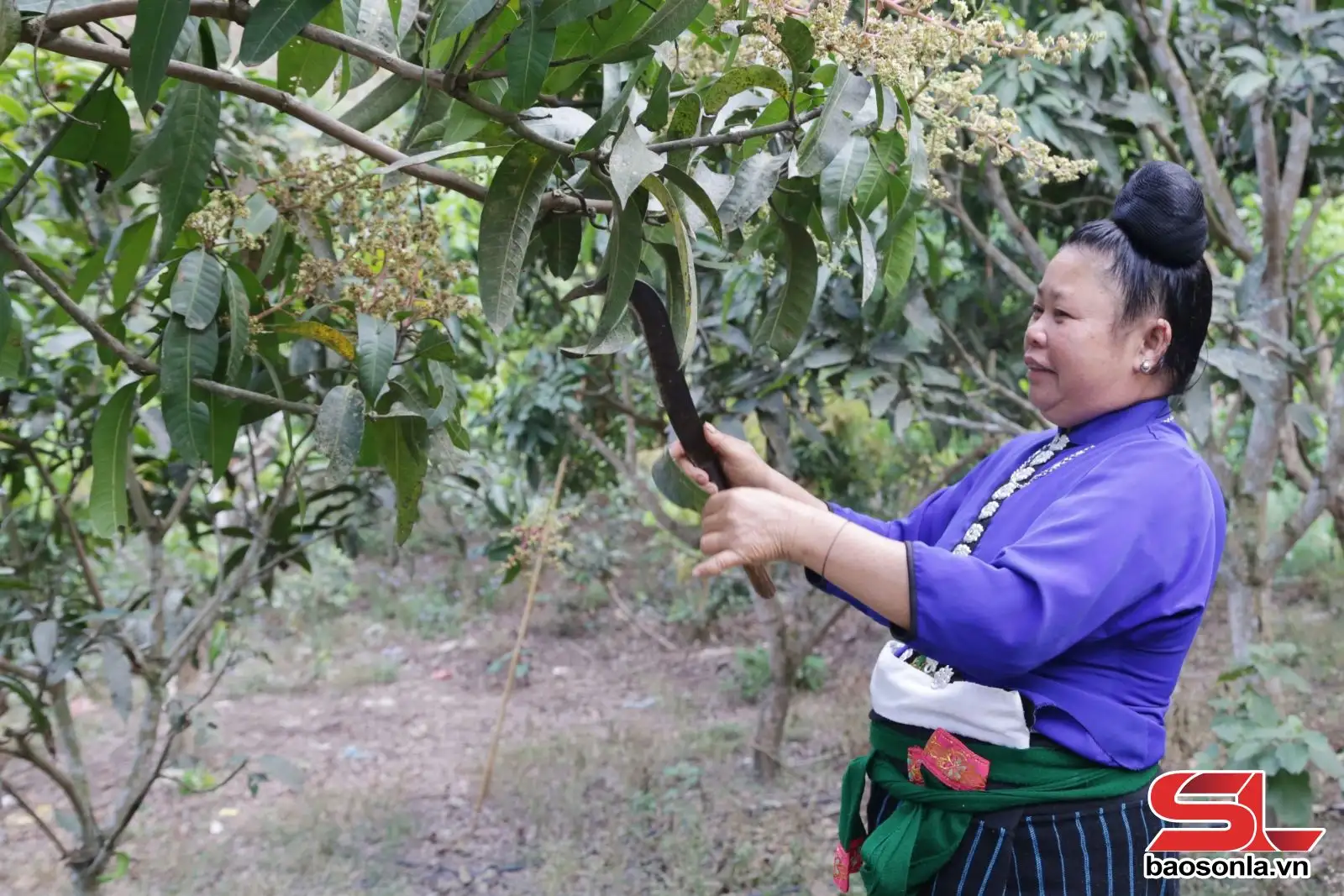 Giúp phụ nữ phát triển kinh tế