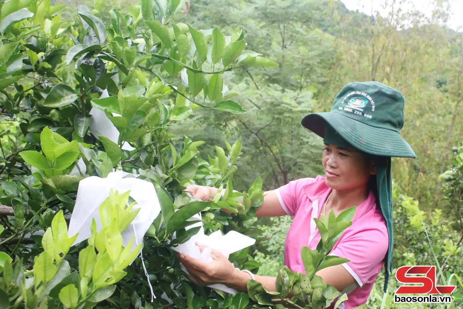 Giúp phụ nữ phát triển kinh tế