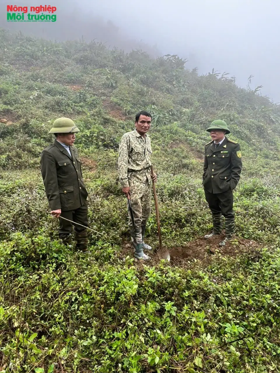 Hiệu quả bước đầu từ mô hình trồng, chế biến măng tre Trinh tại Na Hang