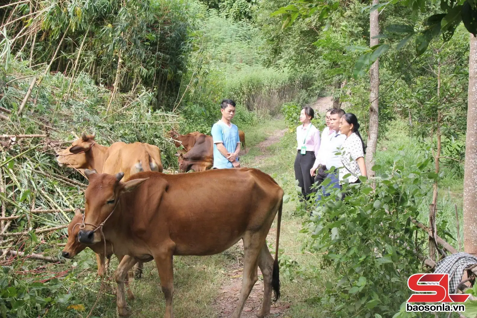 Hiệu quả nguồn vốn tín dụng chính sách