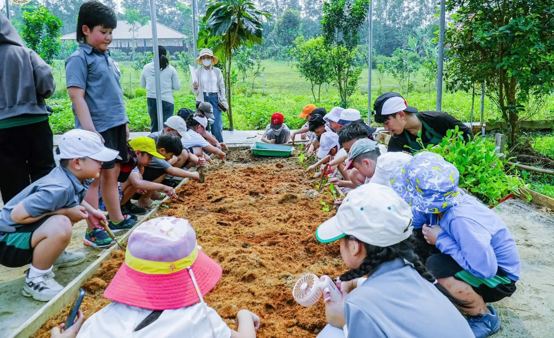 Hòa Vang đẩy mạnh phát triển du lịch nông nghiệp