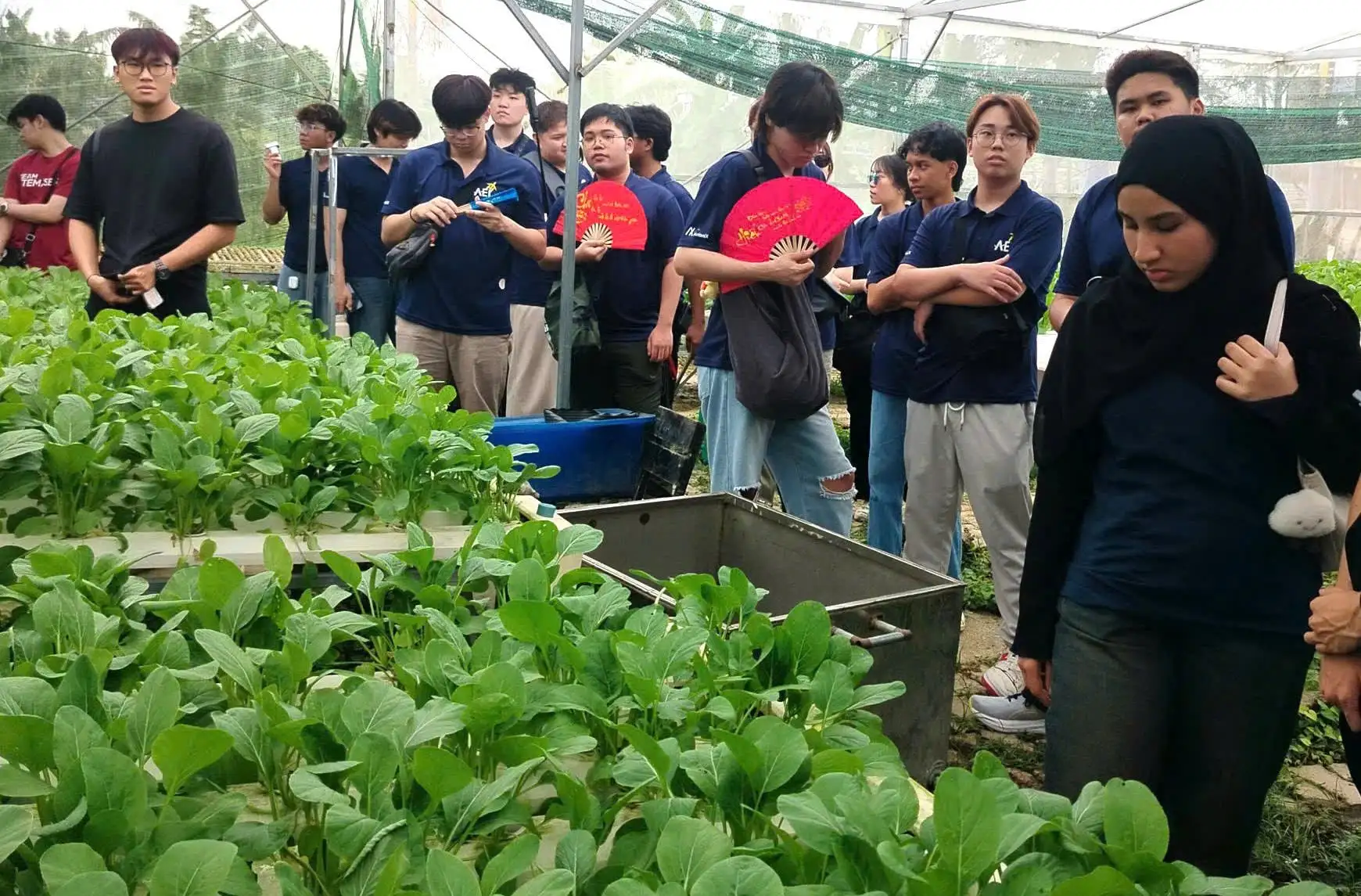 Hòa Vang đẩy mạnh phát triển du lịch nông nghiệp