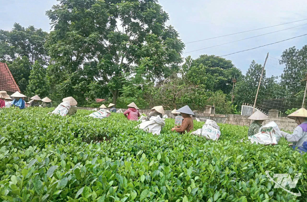 Hồng Nghè hướng đến nông thôn mới nâng cao