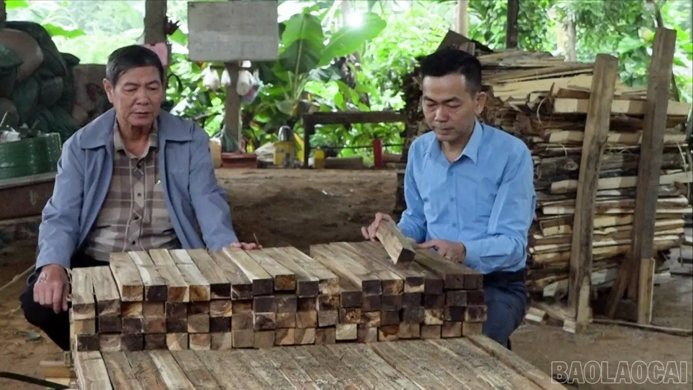 Hợp tác xã đồng hành cùng tỉnh hướng tới mục tiêu phát triển bền vững