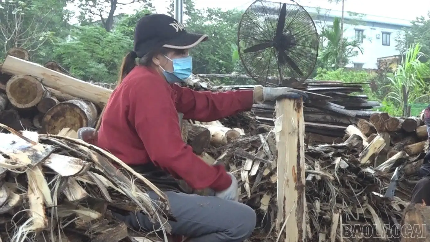 Hợp tác xã đồng hành cùng tỉnh hướng tới mục tiêu phát triển bền vững