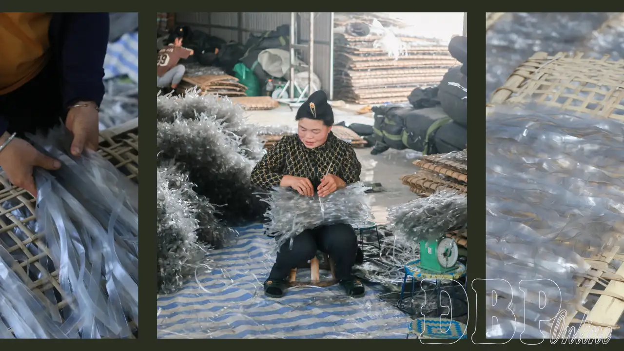 Hợp tác xã nâng tầm nông sản Điện Biên