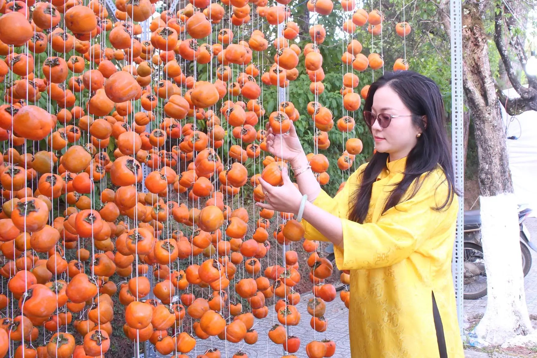 Hợp tác xã số – yêu cầu tất yếu