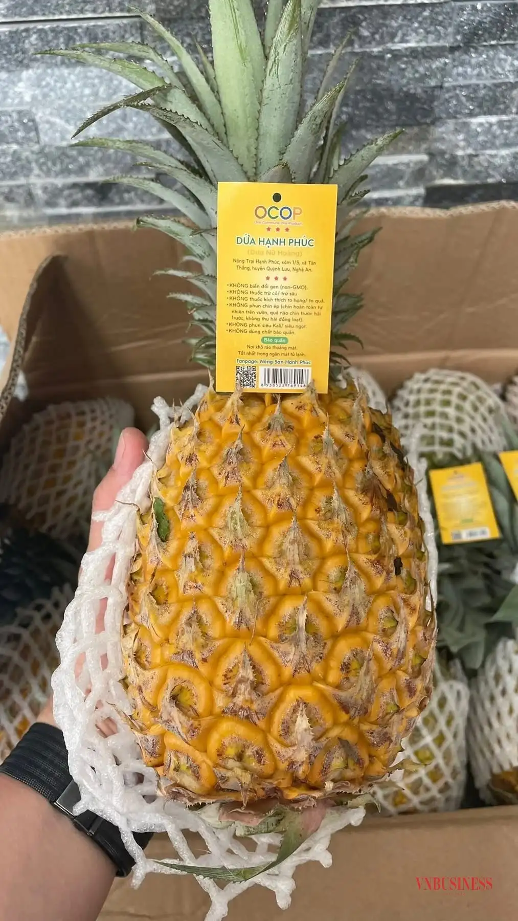 HTX nối dài chuỗi giá trị từ cây dứa