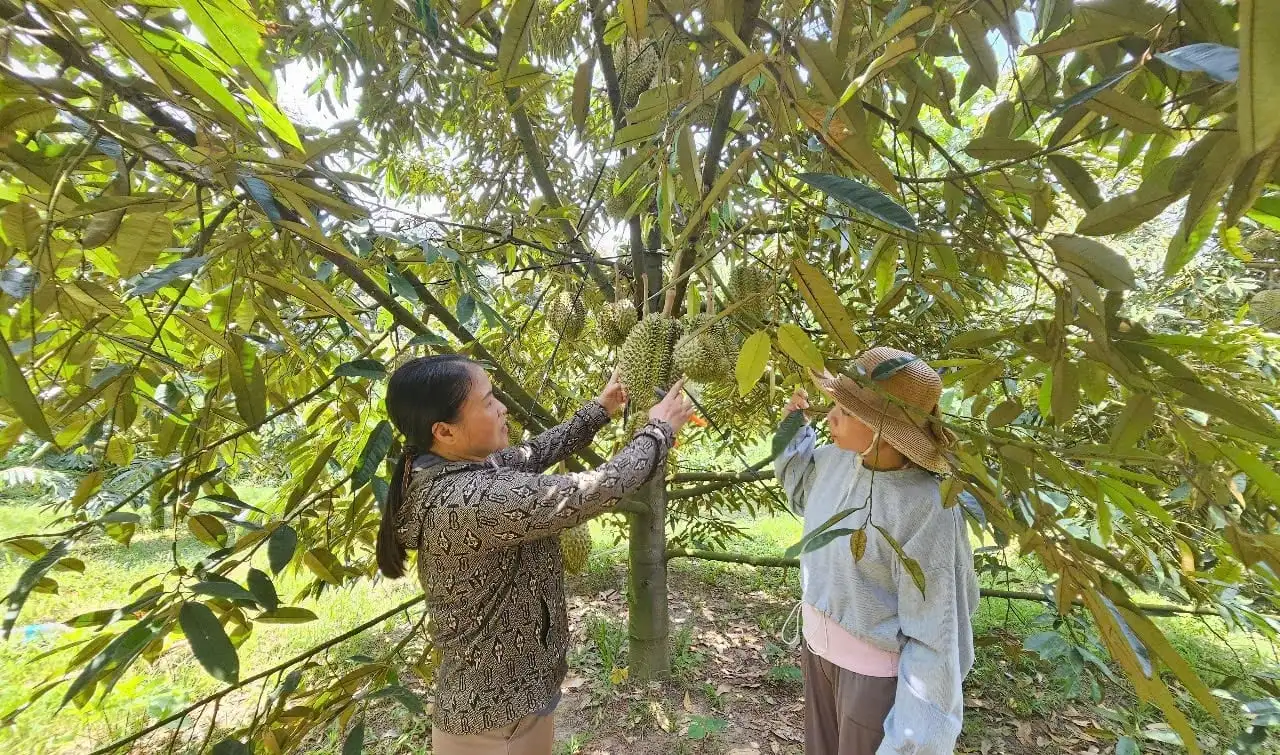 Khánh Hòa kiện toàn tổ khuyến nông cộng đồng để hoàn thành nông thôn mới