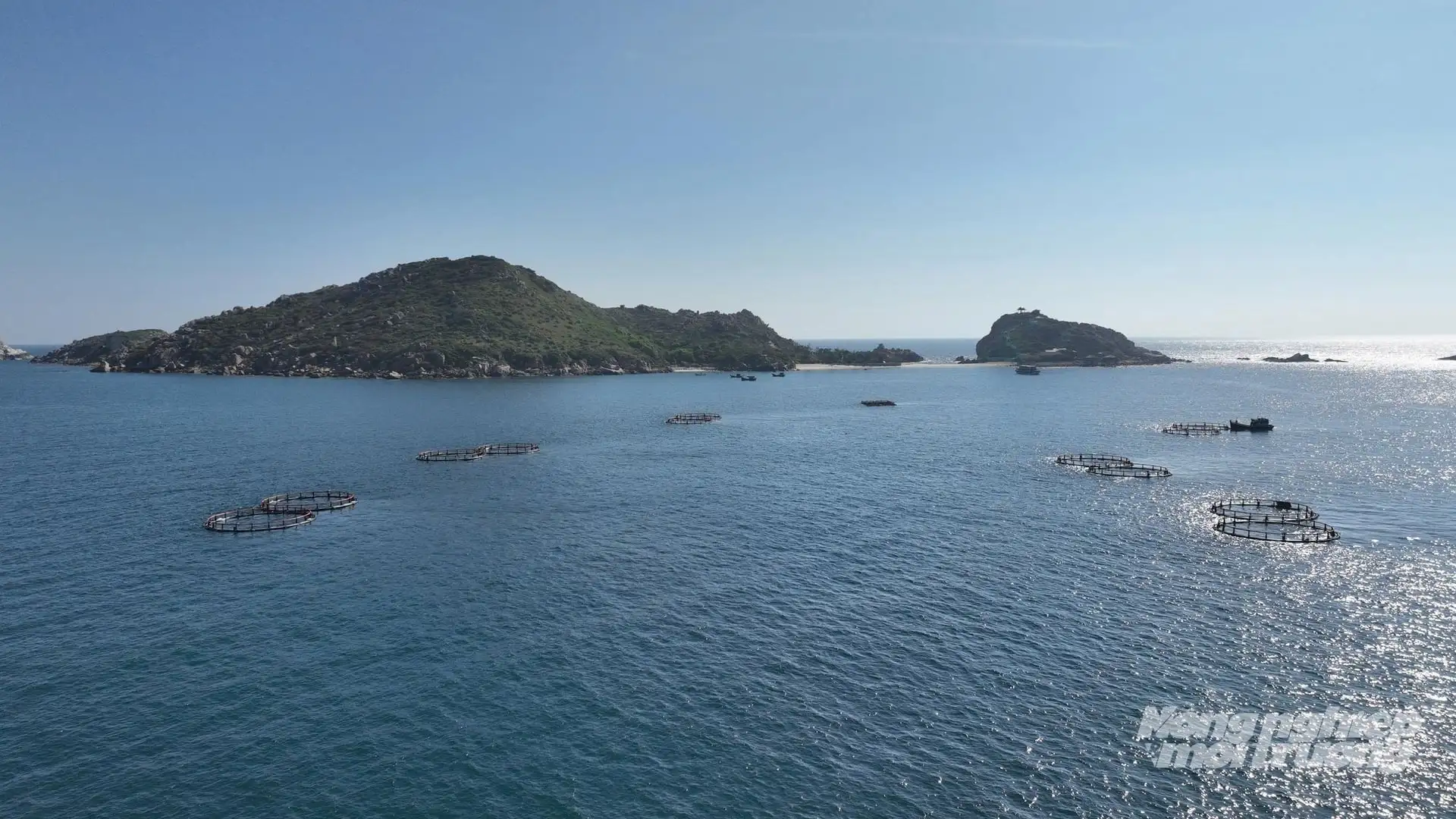 Khánh Hòa xây dựng nhiều đề án phát triển nông nghiệp