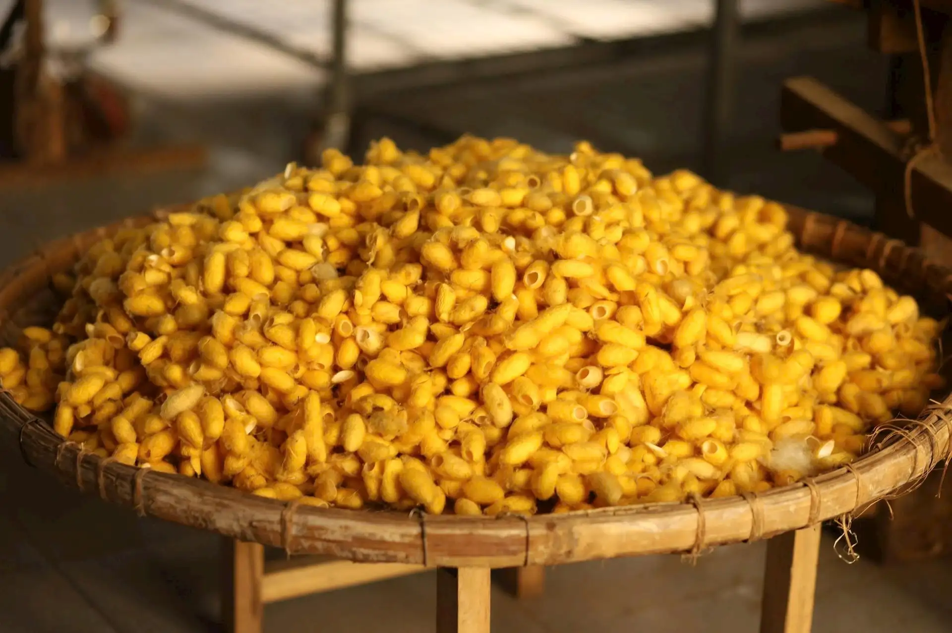 Khi con tằm trở thành “công nhân dệt lụa” ở Mỹ Đức