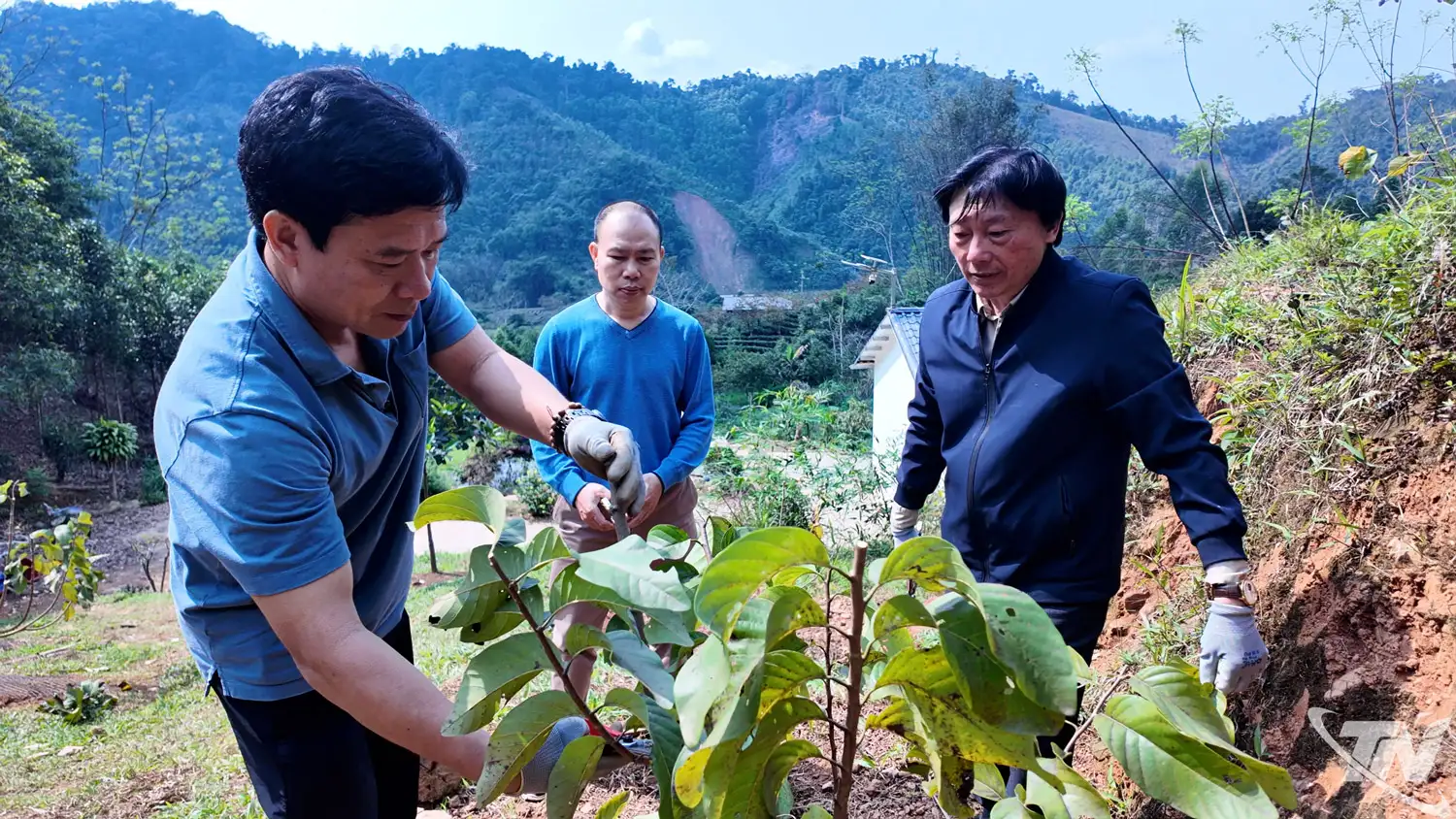 Khoa học, công nghệ – Động lực cho sản xuất ở vùng cao