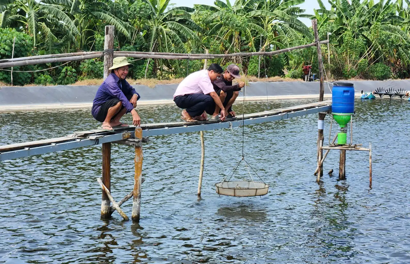 Khoa học, công nghệ nâng giá trị nông sản