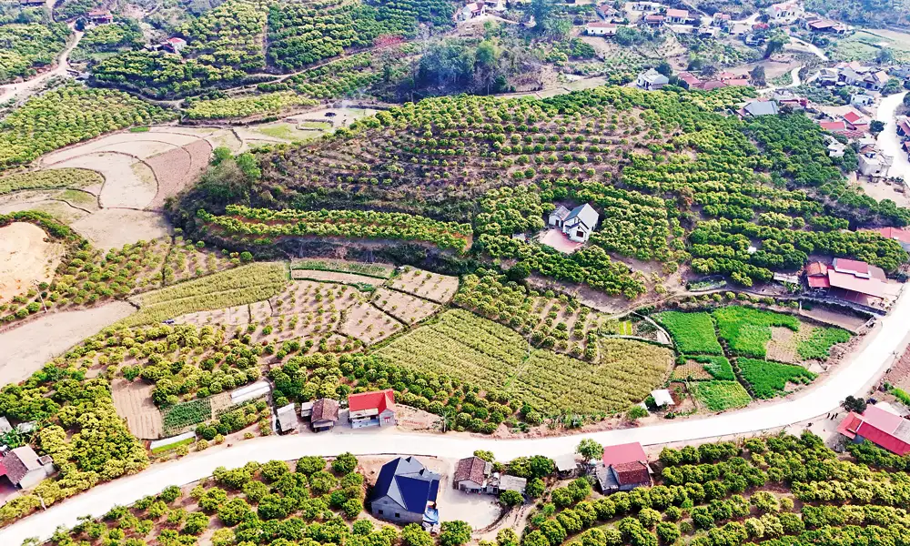 Khơi nguồn lực phát triển vùng dân tộc thiểu số và miền núi