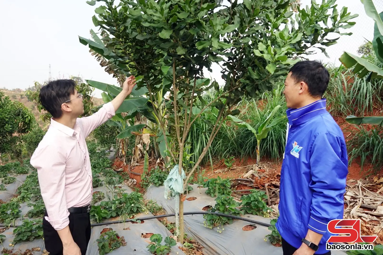 Khơi nguồn lực – tiếp sức người nghèo vươn lên