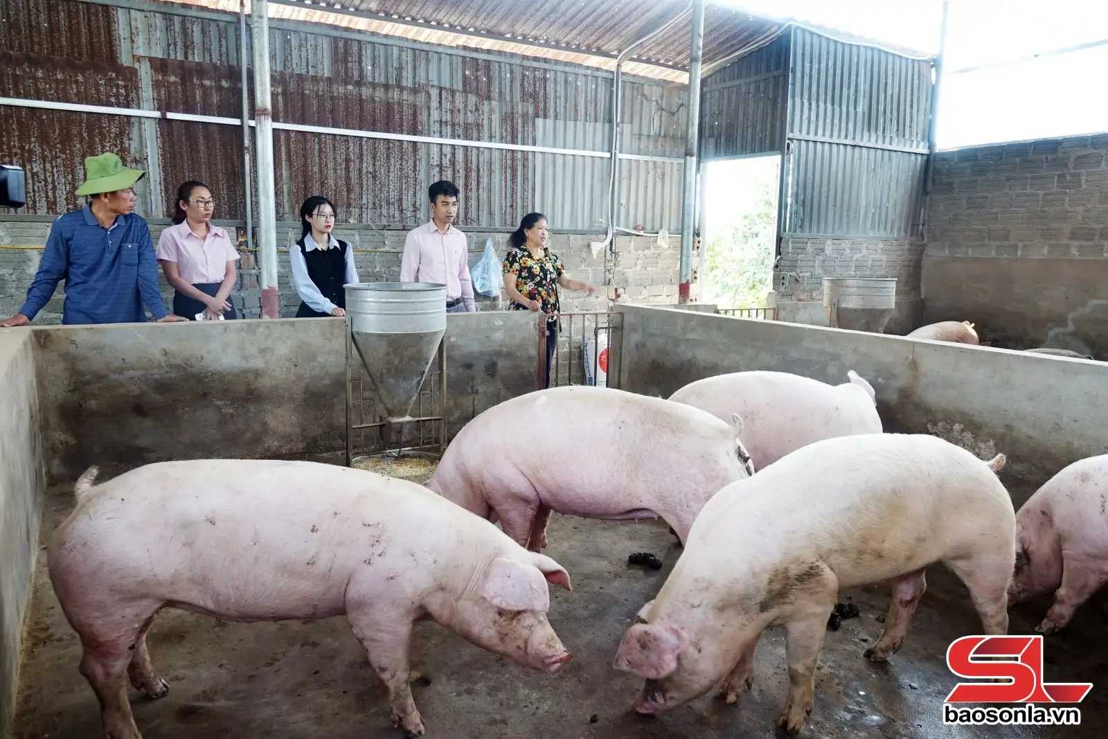 Khơi nguồn lực – tiếp sức người nghèo vươn lên