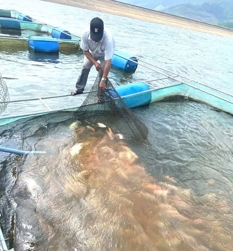 Khuyến nông – “điểm tựa” cho ngành thủy sản chuyển đổi xanh