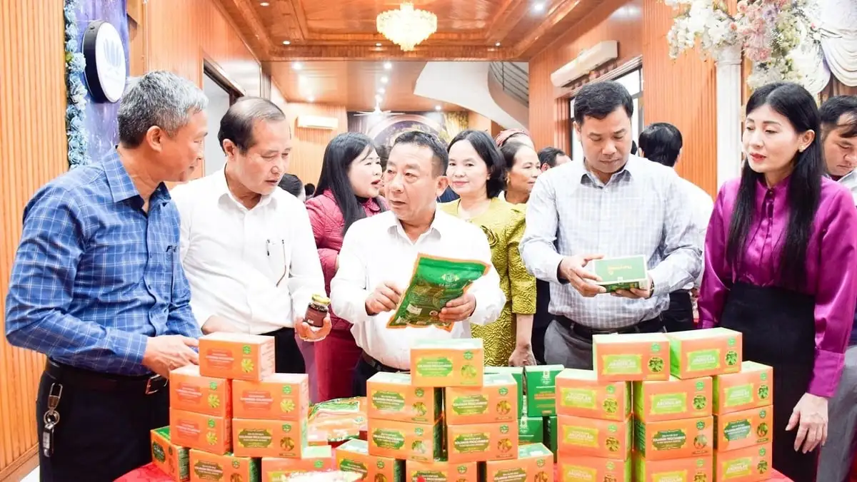 Kinh tế hợp tác Nghệ An phát triển sôi động