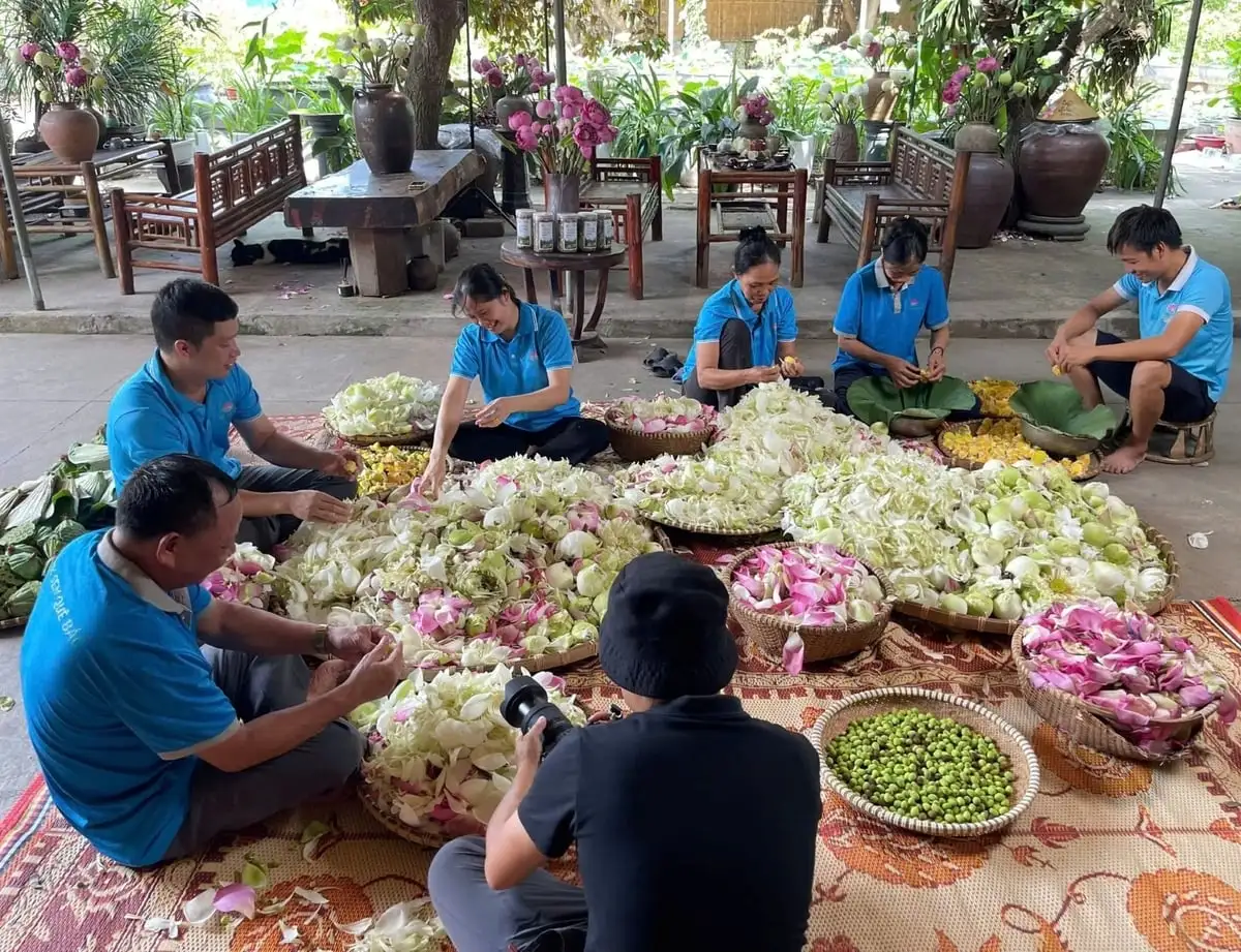 Kinh tế hợp tác Nghệ An phát triển sôi động