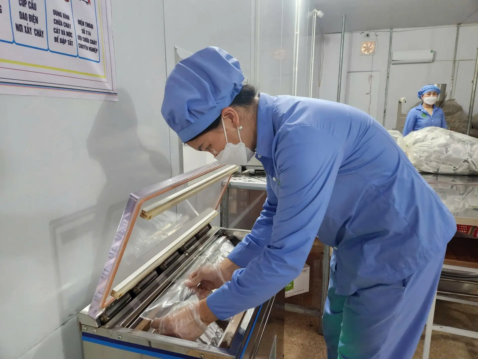 Kinh tế hợp tác trở thành động lực phát triển vùng nông thôn, miền núi