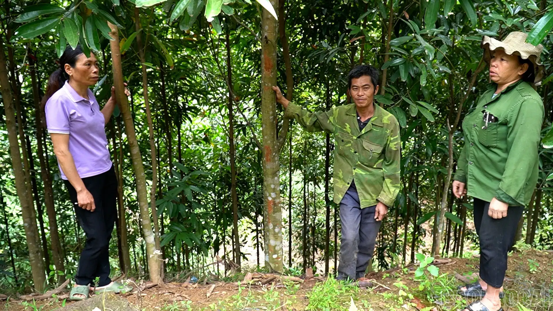 Lâm Giang nỗ lực giảm nghèo bền vững