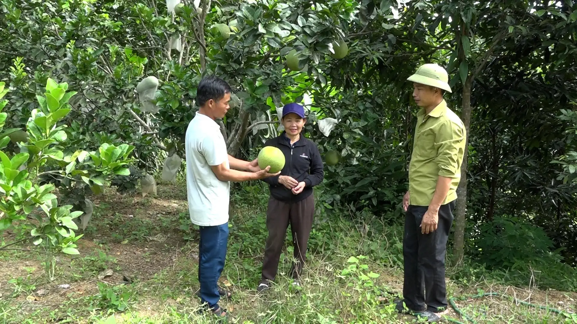 Lâm Giang nỗ lực giảm nghèo bền vững