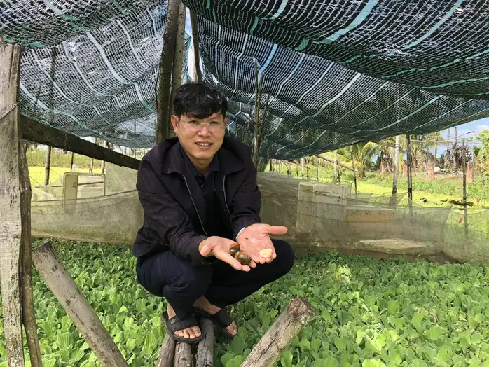 Làm giàu từ nông nghiệp sạch