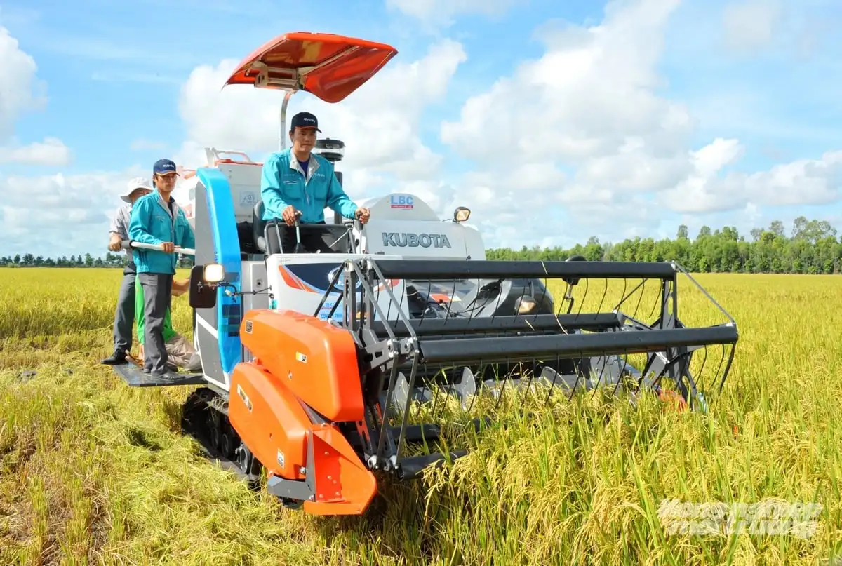 Liên kết chuỗi – đòn bẩy cho Đề án 1 triệu ha lúa chất lượng cao
