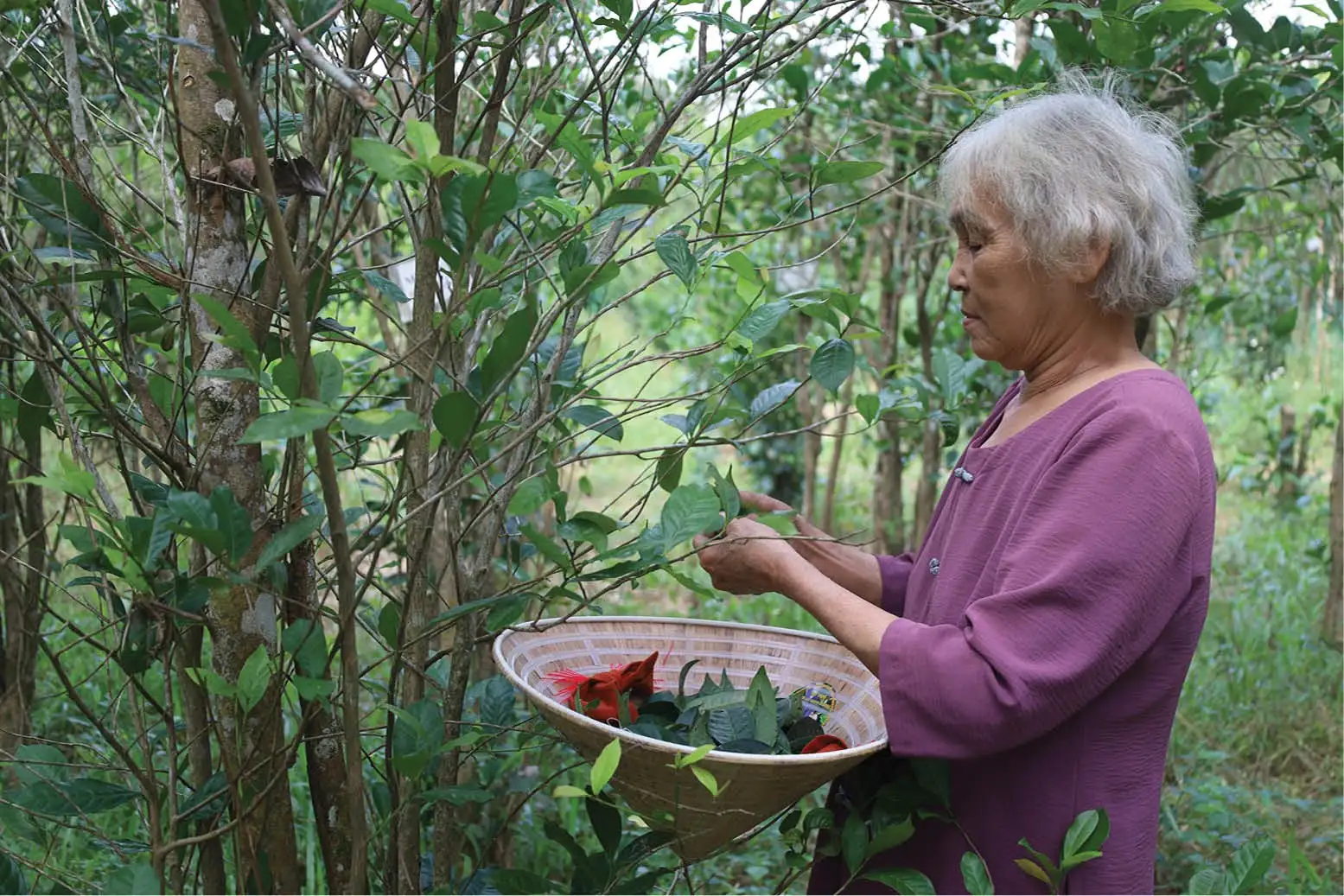 Liên kết sản phẩm du lịch theo gói, quảng bá đặc sản địa phương