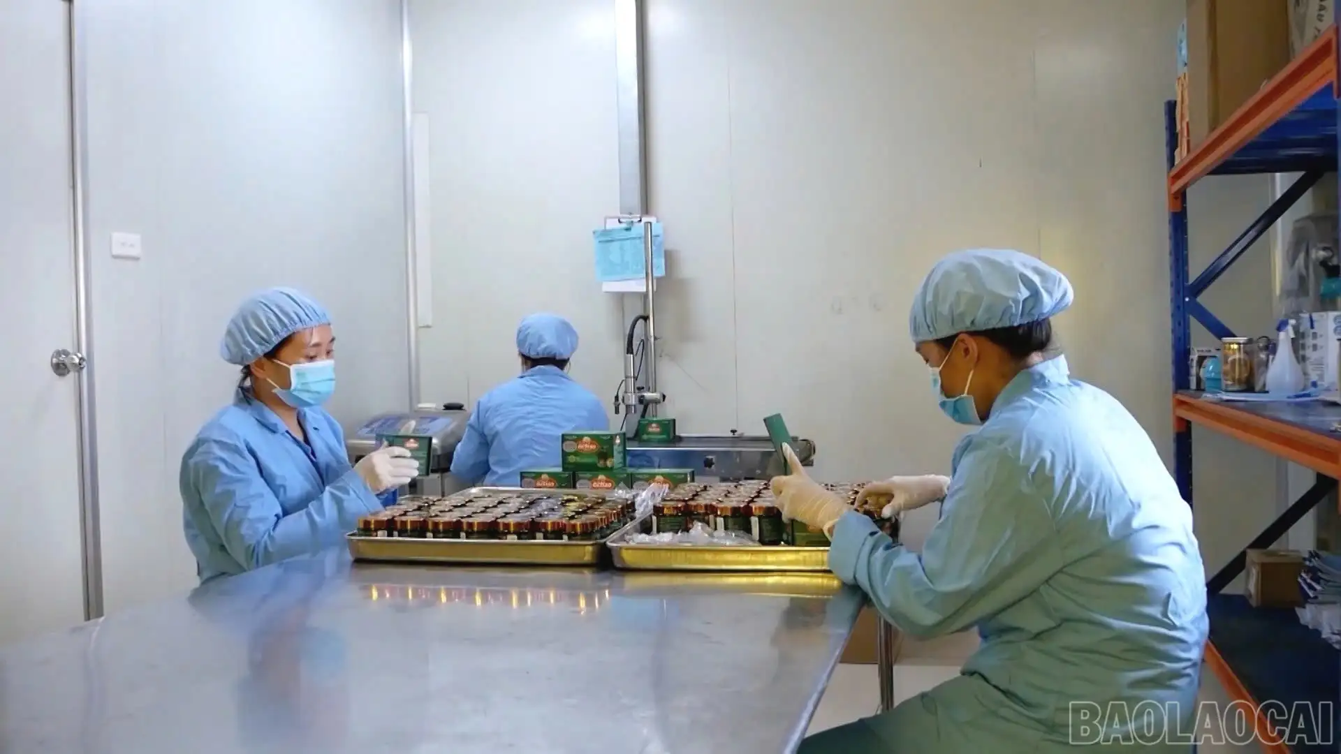 Lời giải thoát nghèo bền vững từ cây dược liệu