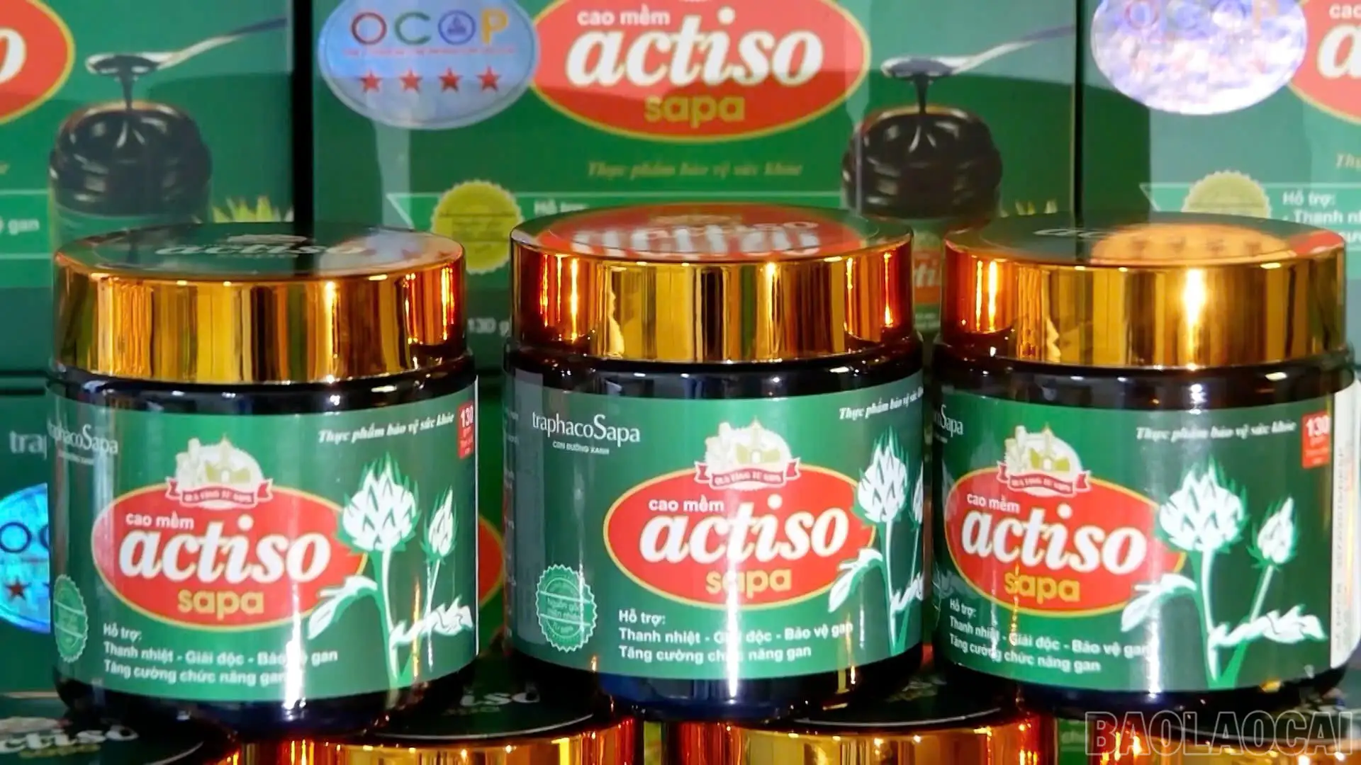 Lời giải thoát nghèo bền vững từ cây dược liệu