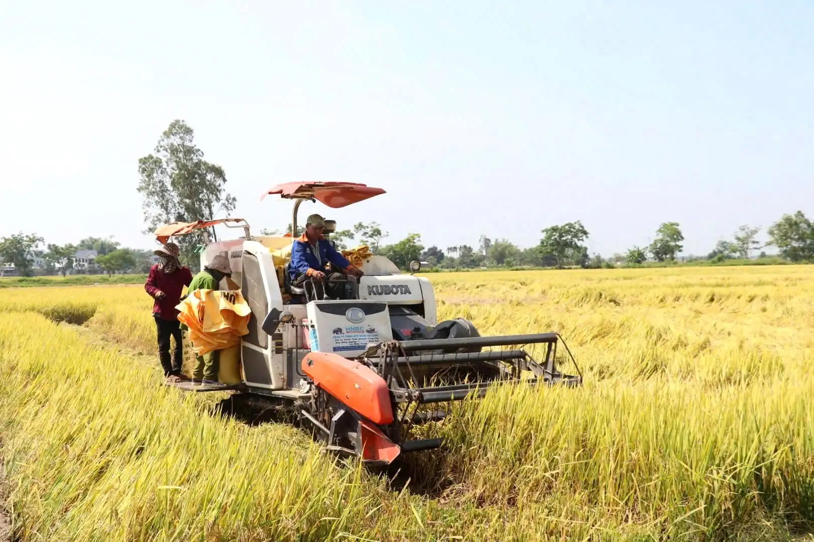 Lối mở phát triển chuỗi liên kết nông nghiệp
