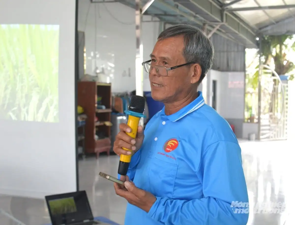 Lúa sạch, người khỏe nhờ canh tác theo quy trình hữu cơ