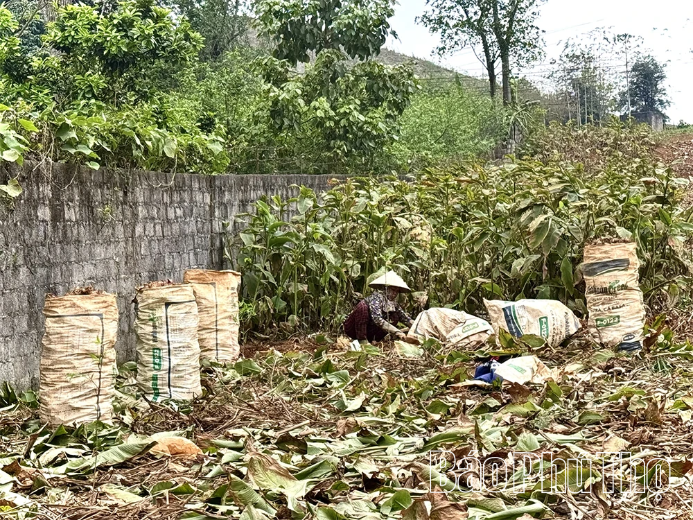“Lực cản” giảm nghèo ở xã Cao Sơn