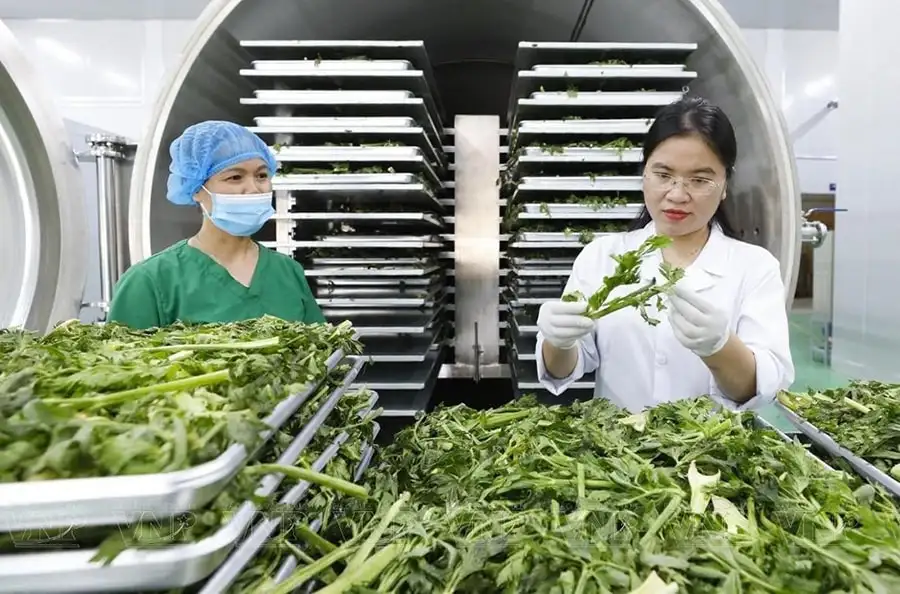 Mở đường từ giá trị, định vị bằng chất lượng