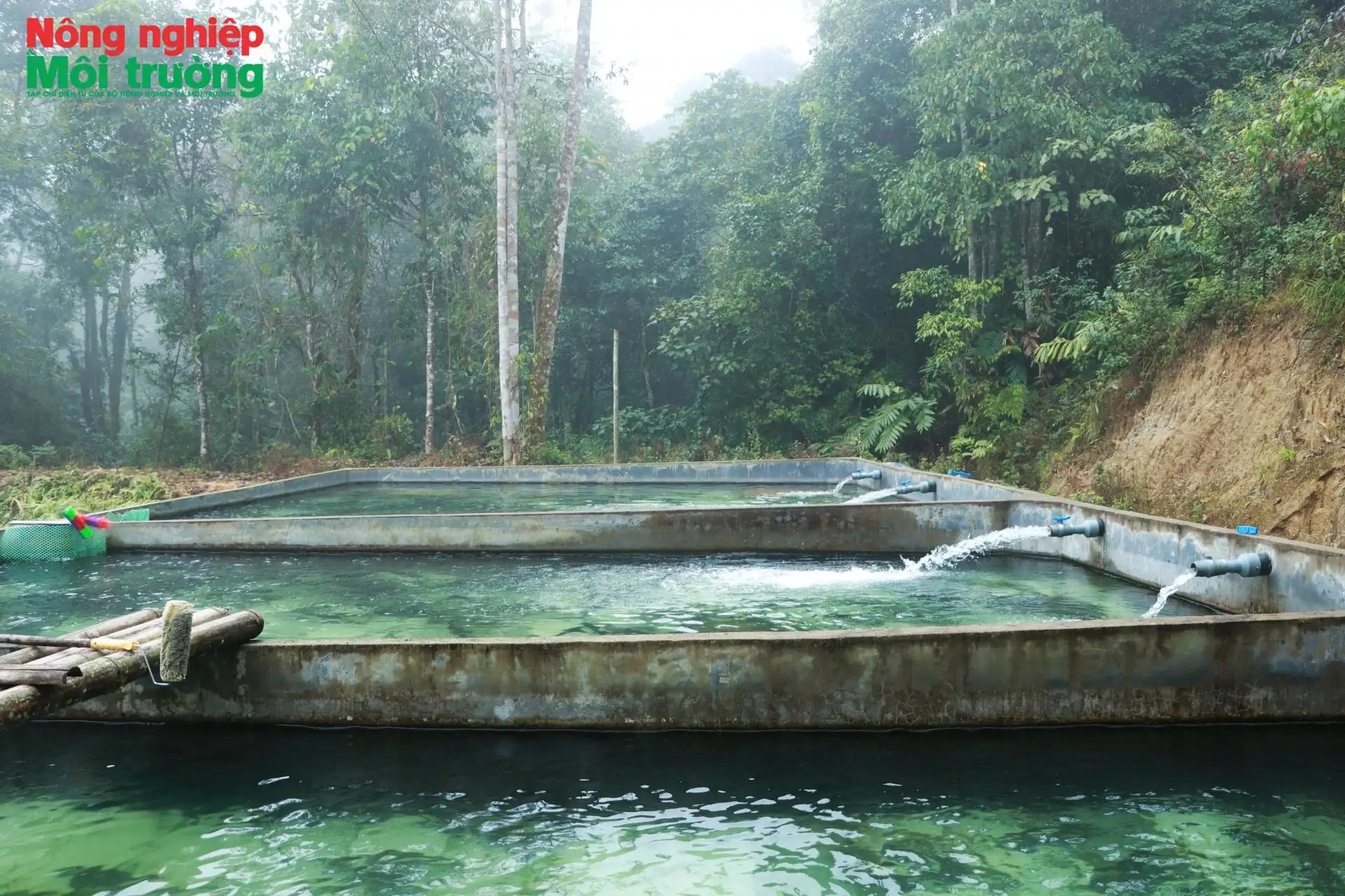 Mô hình nuôi cá nước lạnh vùng cao nguyên đá mở lối thoát nghèo