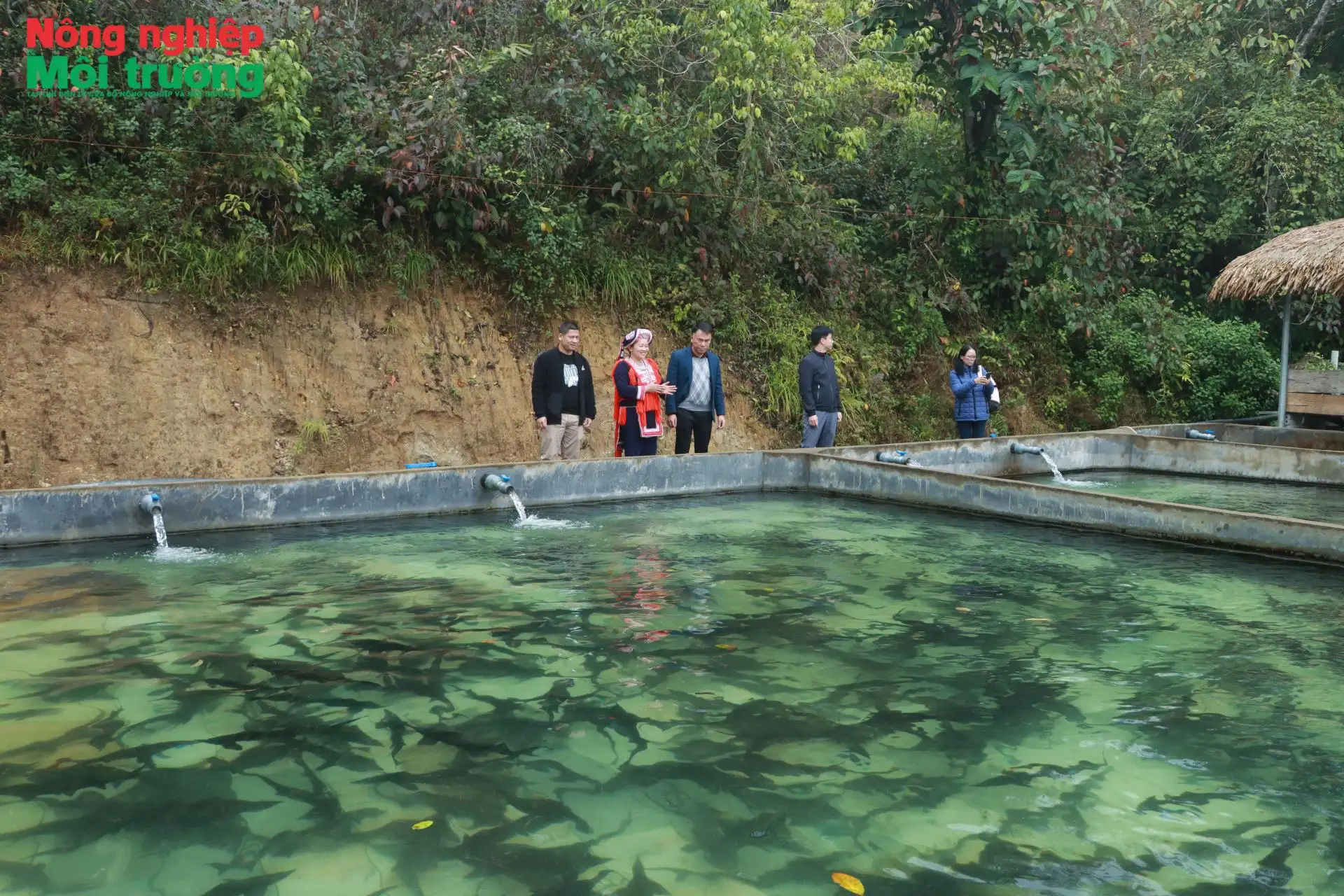 Mô hình nuôi cá nước lạnh vùng cao nguyên đá mở lối thoát nghèo