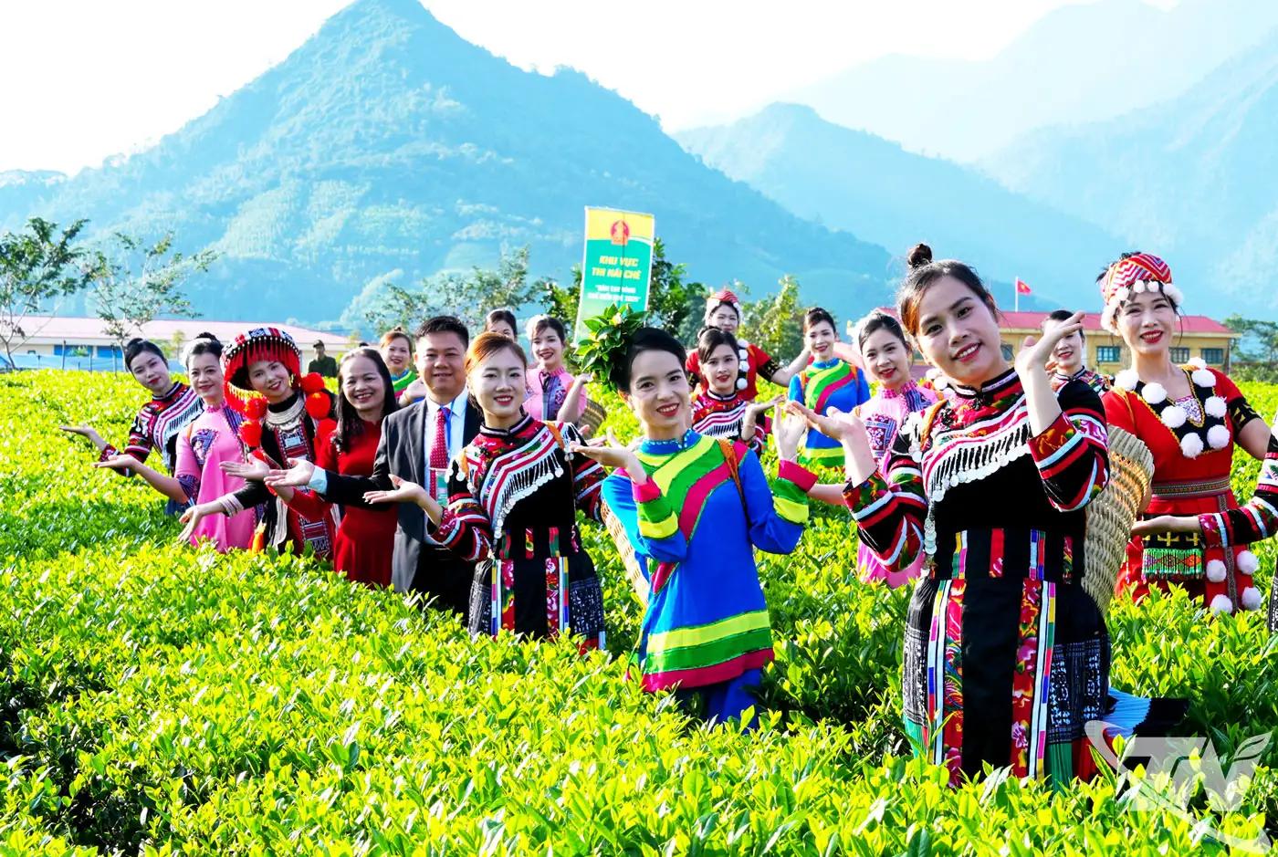 Mở không gian phát triển mới cho ngành chè