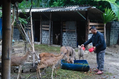 Mở lối đi bền vững cho nông sản Việt