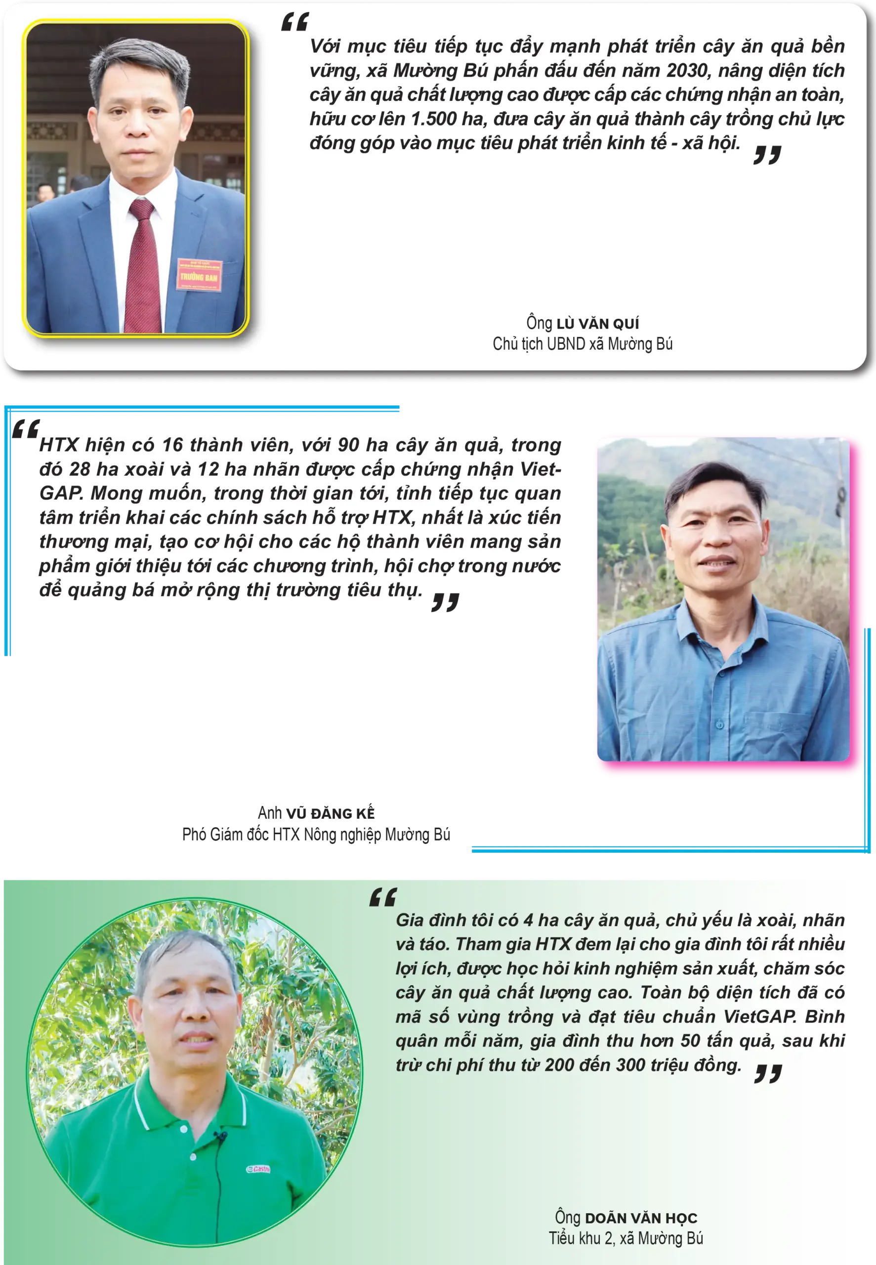 Mường Bú hình thành vùng sản xuất cây ăn quả tập trung