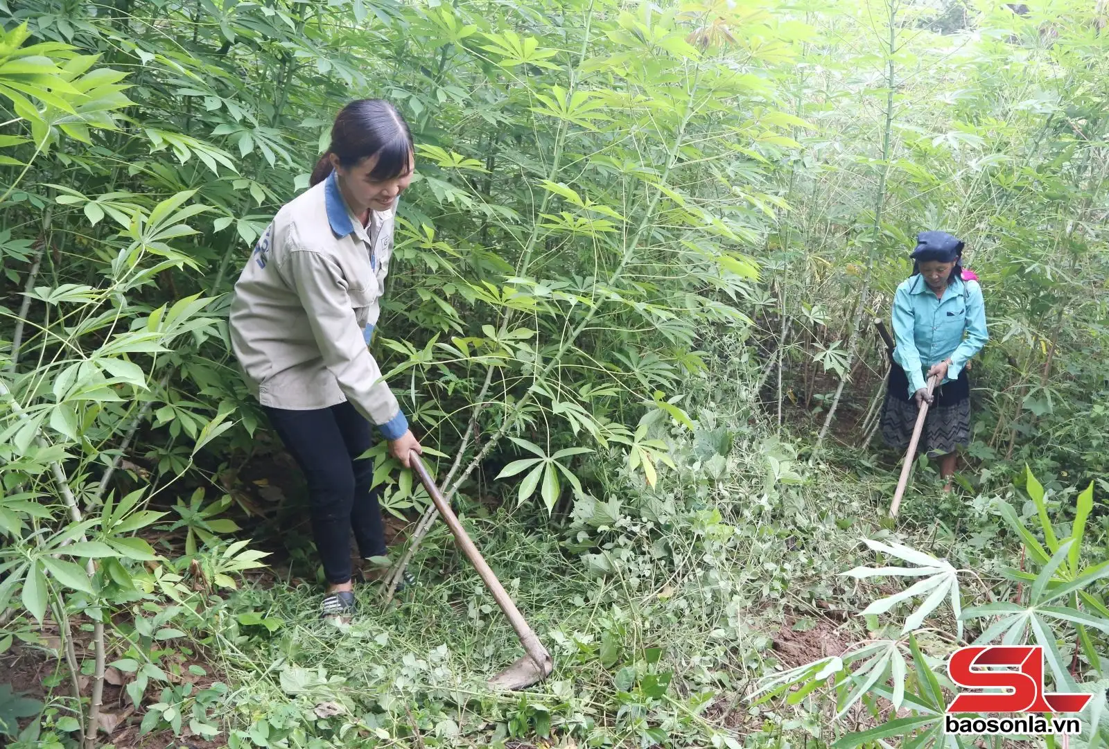 Mường Lèo nỗ lực vươn lên