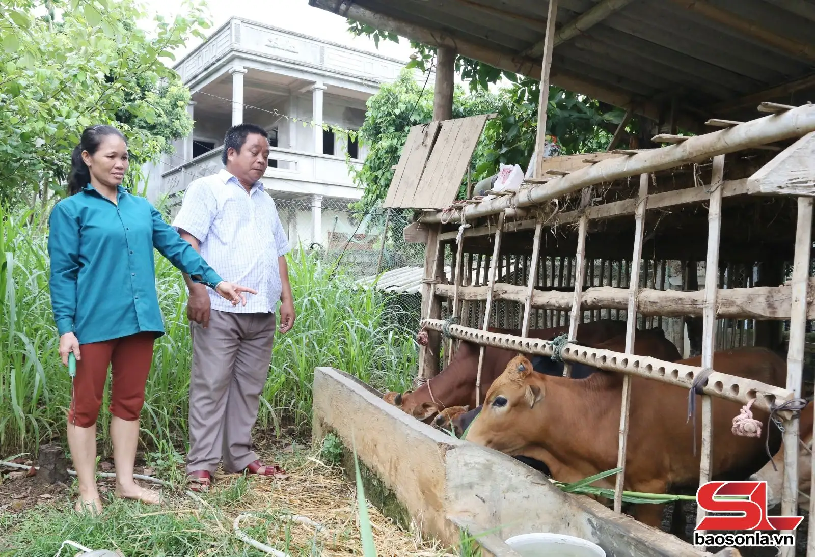 Mường Lèo nỗ lực vươn lên