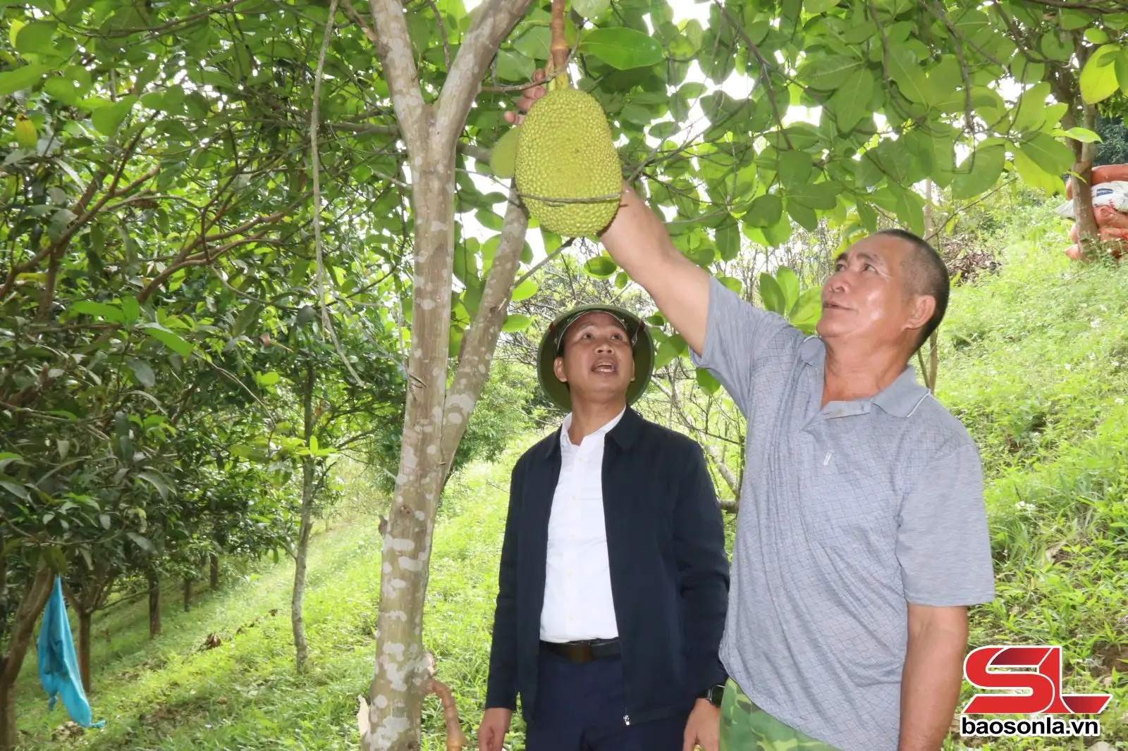 Mường Pia quyết tâm xây dựng bản nông thôn mới