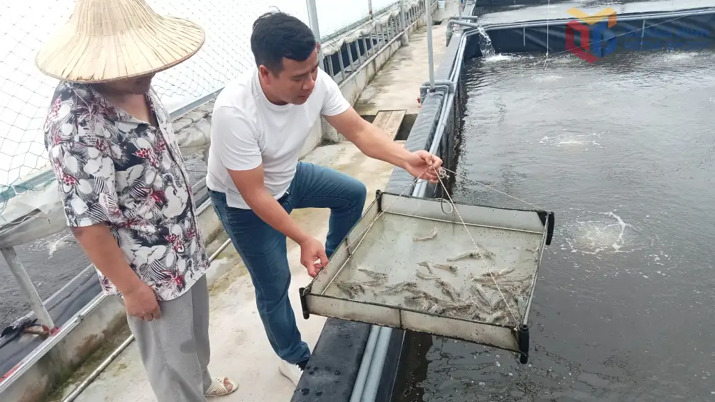 Nâng cao chất lượng các tiêu chí nông thôn mới