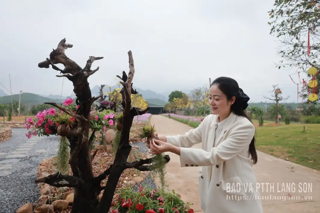 Năng động phát triển