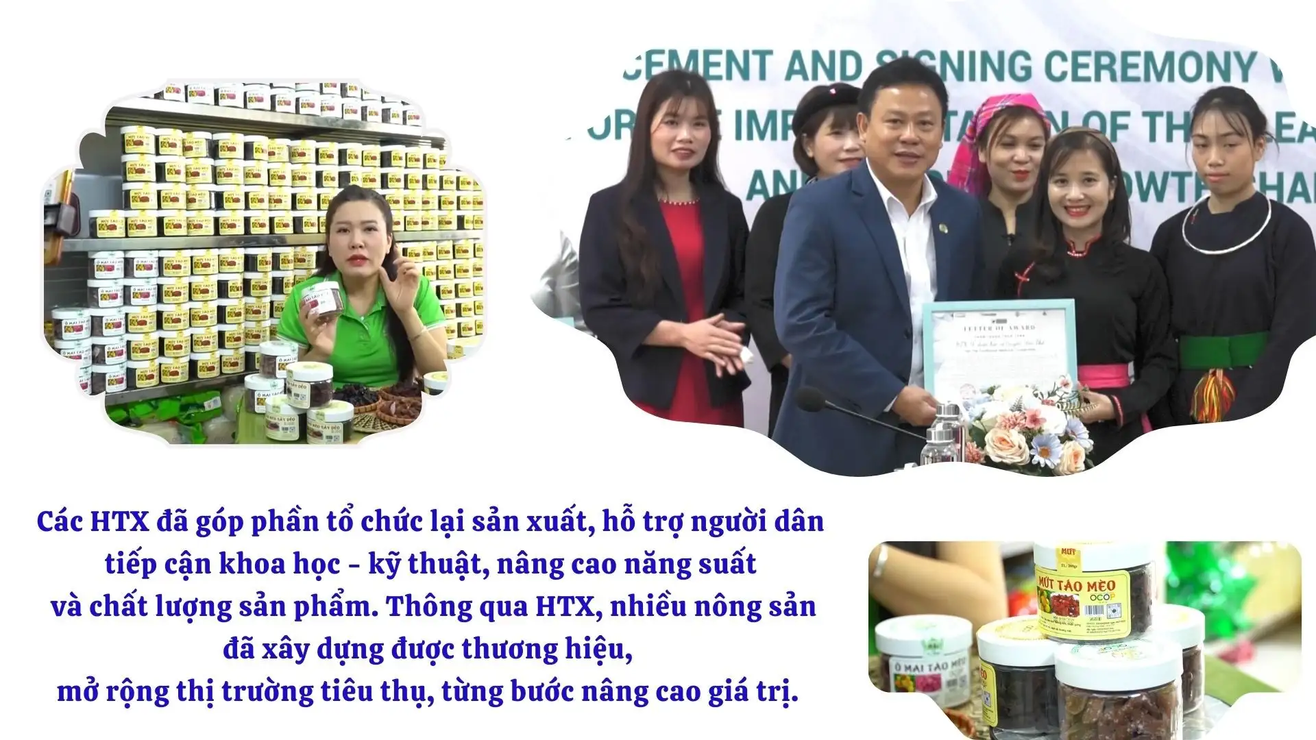 Nâng tầm Hợp tác xã trong liên kết chuỗi giá trị